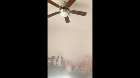 betsygore78 online show from 03-14-26, 08:58