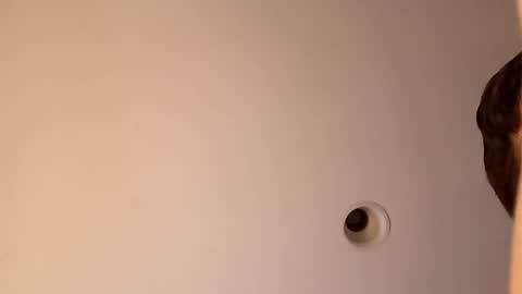 bgiamba21 online show from 10-16-25, 03:40