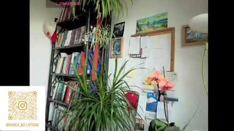 Bianca Transgirl online show from 06-09-26, 07:42
