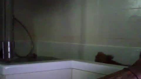 Snapshot of bibipheuck chatting on 04-21-26, 10:10 bibipheuck online show from 04-21-26, 10:10