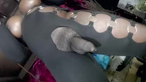 big_trans online show from 01-14-26, 05:18