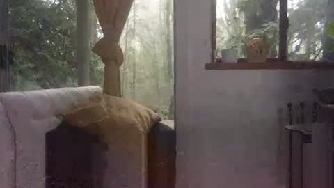 Snapshot of bigbossforsirius chatting on 12-01-24, 04:29 bigbossforsirius online show from 12-01-24, 04:29