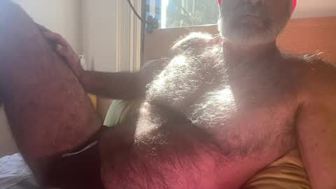big bush online show from 07-30-26, 02:32