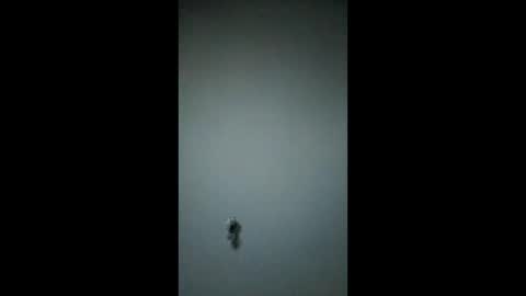 bigchorizo18 online show from 03-17-26, 05:00