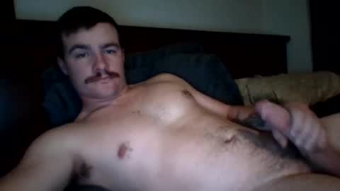 bigcock627447 online show from 12-02-24, 09:06