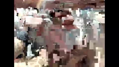 BigDaddykodack online show from 09-15-25, 06:41