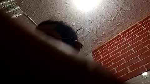 BigDaddykodack online show from 10-28-25, 09:24