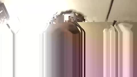 Big Daddy 1988 S online show from 11-03-25, 06:14