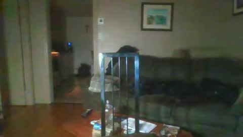 Snapshot of bigdeer581917471 chatting on 02-01-25, 08:08 bigdeer581917471 online show from 02-01-25, 08:08