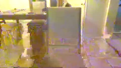 Snapshot of bigdeer581917471 chatting on 06-08-26, 12:47 bigdeer581917471 online show from 06-08-26, 12:47