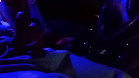 bigdiccbrannn online show from 02-09-25, 12:52