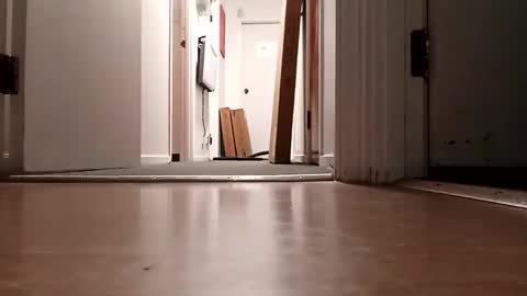 bigdiccbrannn online show from 11-05-25, 10:15