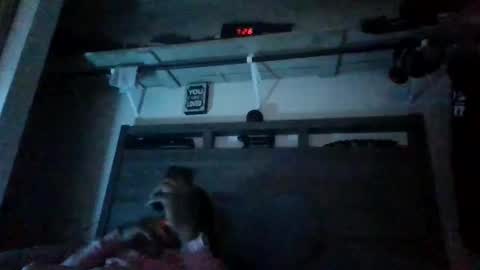 bigdickdaddy3200798456 online show from 12-28-24, 01:08