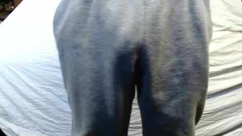 Snapshot of bigdickdaddy567130413 chatting on 01-15-25, 05:47 bigdickdaddy567130413 online show from 01-15-25, 05:47