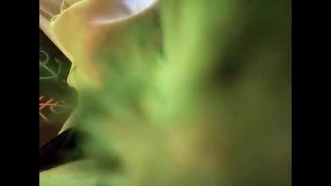 Snapshot of bigdickguy69690 chatting on 02-22-25, 01:11 bigdickguy69690 online show from 02-22-25, 01:11