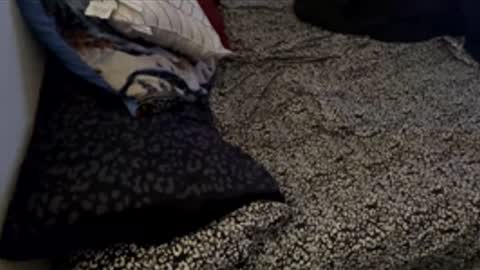 Snapshot of bigdickpapishampoo chatting on 11-28-25, 06:21 bigdickpapishampoo online show from 11-28-25, 06:21