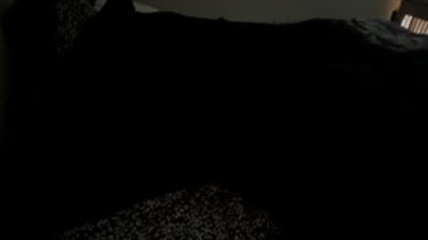 Snapshot of bigdickpapishampoo chatting on 12-01-25, 02:00 bigdickpapishampoo online show from 12-01-25, 02:00