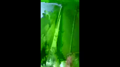 bigdog9thick online show from 12-03-25, 07:27