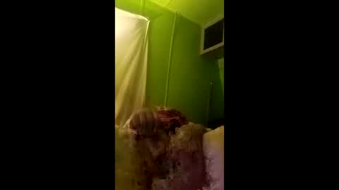 bigdog9thick online show from 04-29-26, 07:23