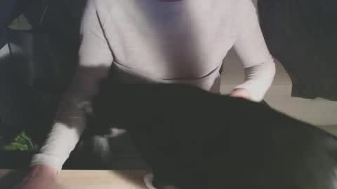 Snapshot of bigdutchenergy chatting on 02-28-26, 11:06 BigDutchEnergy online show from 02-28-26, 11:06