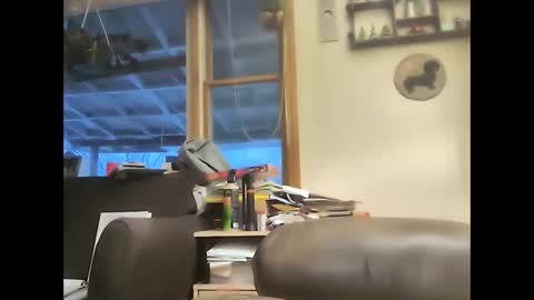 bigelectricrod online show from 02-01-25, 11:54