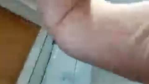 biggllh online show from 07-04-26, 02:01