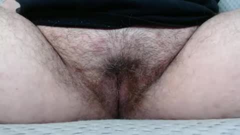 Snapshot of bighairyabby chatting on 11-08-25, 04:07 Abby online show from 11-08-25, 04:07