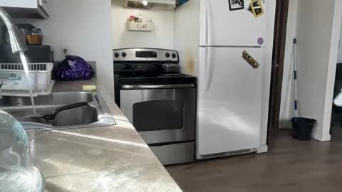 Daniel  Noelia online show from 11-27-25, 08:55