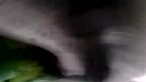 bignastyfilthy online show from 01-19-26, 02:15