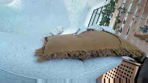 bigo290 online show from 10-05-25, 02:04