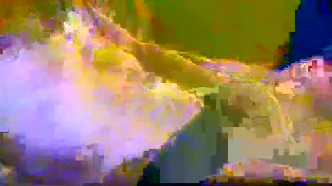 Snapshot of bigrigxxxx chatting on 12-10-24, 12:16 bigrig online show from 12-10-24, 12:16