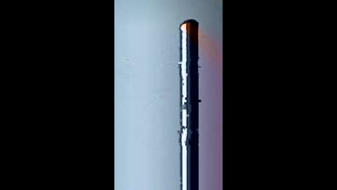 Snapshot of bigtex199801 chatting on 03-31-26, 03:19 bigtex199801 online show from 03-31-26, 03:19