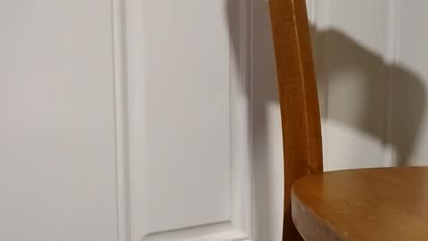 bigtopcircus online show from 02-28-26, 02:56