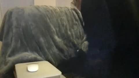 Bigwhitedickdaddy and BabyCakes online show from 02-16-26, 11:50