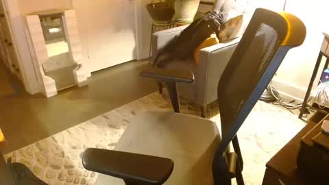 Snapshot of bijockdadohio chatting on 03-29-26, 05:18 Jeff online show from 03-29-26, 05:18