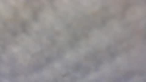 Snapshot of billmenow141 chatting on 02-11-25, 10:04 billmenow141 online show from 02-11-25, 10:04
