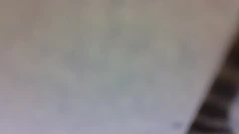 Snapshot of billmenow141 chatting on 03-10-25, 10:59 billmenow141 online show from 03-10-25, 10:59