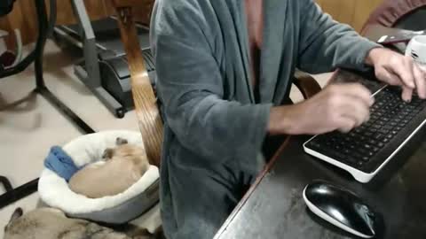 billy471 online show from 11-20-25, 03:12