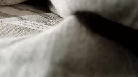 Snapshot of billy7801801010 chatting on 02-20-26, 01:13 billy7801801010 online show from 02-20-26, 01:13