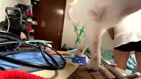 Snapshot of bisexmangenx chatting on 11-09-25, 08:07 Manu O online show from 11-09-25, 08:07