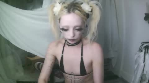 vampire fang  online show from 01-07-26, 12:35