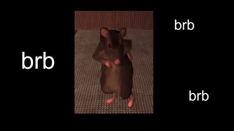 Snapshot of black_kittie_01 chatting on 01-31-25, 01:12 Black Kittie Wednesday - 1300 - 1900 GMT help me get 100 thumbs up online show from 01-31-25, 01:12