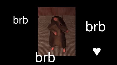 Snapshot of black_kittie_01 chatting on 09-09-25, 12:15 Black Kittie Wednesday - 1300 - 1900 GMT help me get 100 thumbs up online show from 09-09-25, 12:15