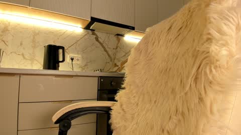 Snapshot of blackmilk_01 chatting on 01-20-25, 07:36 Karina online show from 01-20-25, 07:36