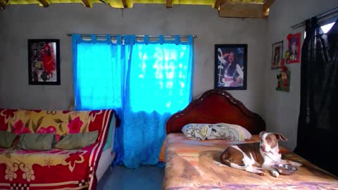 Snapshot of blackpanter_13 chatting on 12-18-25, 01:39 Black Panther online show from 12-18-25, 01:39