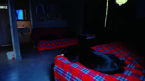 Black Panther online show from 05-01-26, 11:04