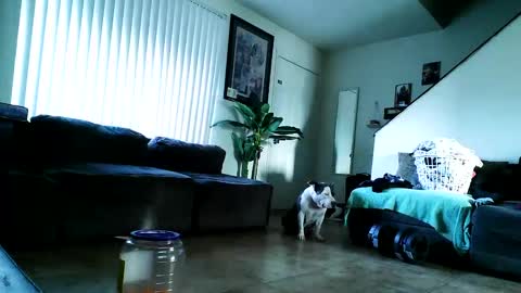 blackriches96 online show from 02-17-25, 03:09