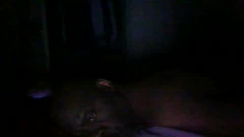 Snapshot of blackteddybear chatting on 03-09-26, 12:58 blackteddybear online show from 03-09-26, 12:58