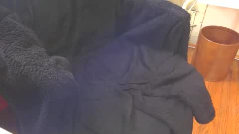 Snapshot of blackuncut55 chatting on 02-18-25, 06:47 Aqua online show from 02-18-25, 06:47