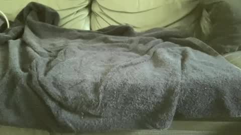 Snapshot of blacky290 chatting on 06-29-26, 07:03 blacky290 online show from 06-29-26, 07:03